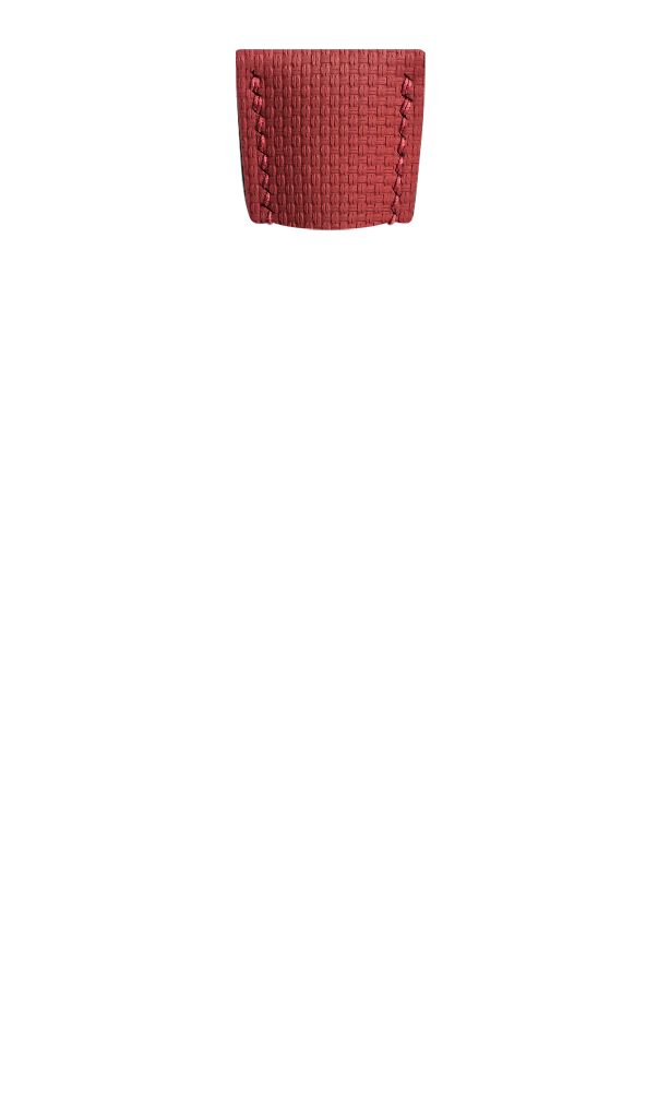 Red Sailcloth Signature Strap